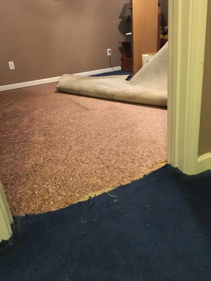 Carpet pad removal revealing water damage during Water Mitigation Services in Robertsdale