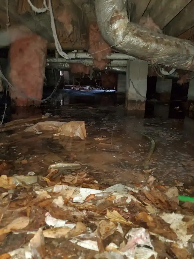 Crawl space flood assessment for Leak Detection & Repair in Robertsdale