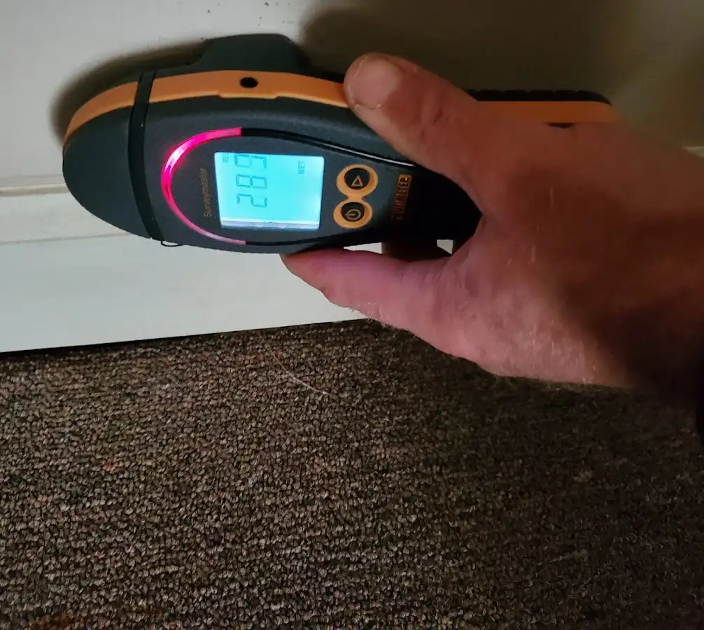 Moisture detection at baseboard during Sewage Cleanup & Sanitation in Robertsdale